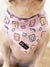 Cooling Dog Bandana - Gummy Bear