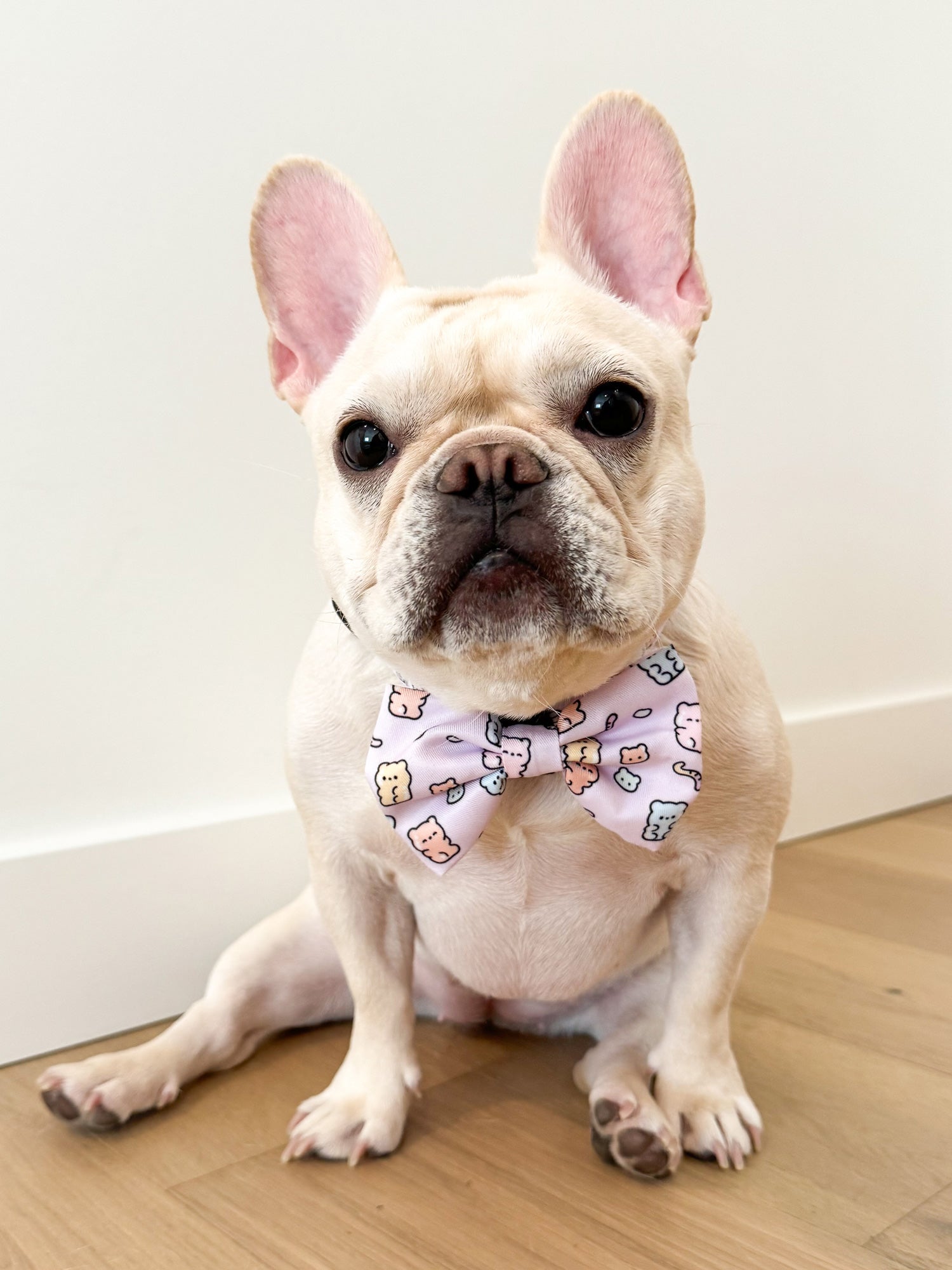 Dog Bow Tie - Gummy Bear