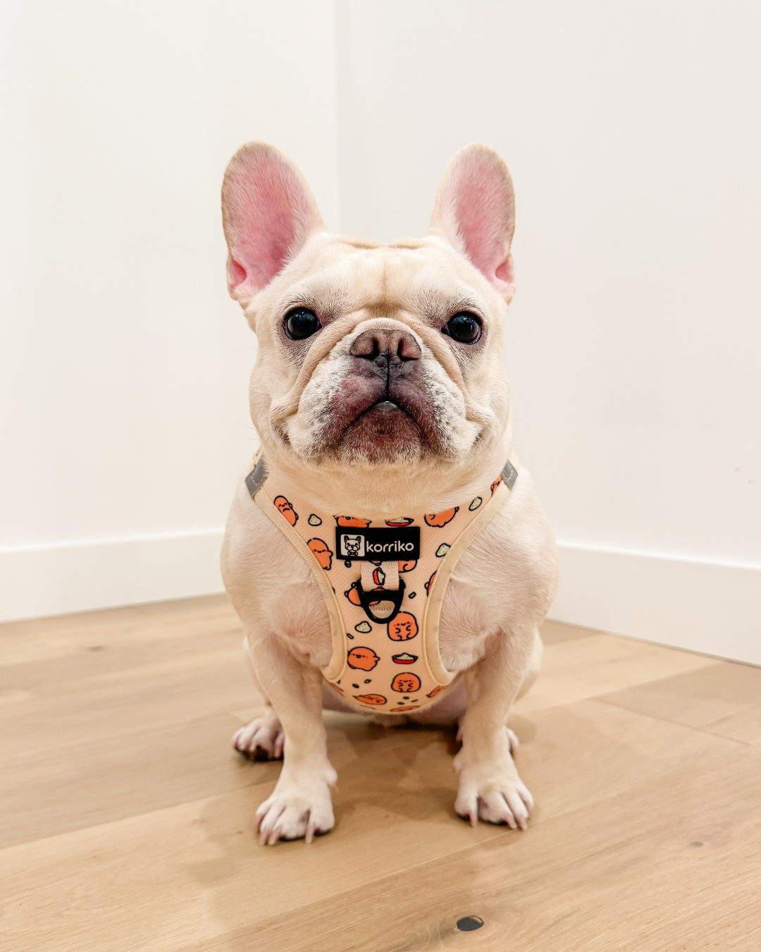 Step-In Dog Harness - Potato