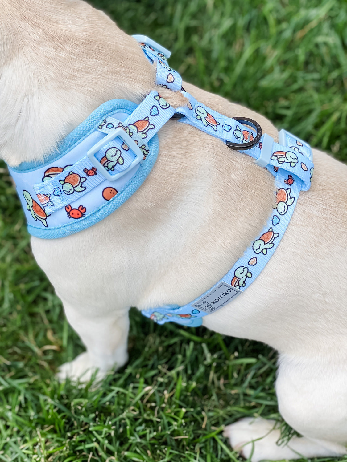 Adjustable Dog Harness Under The Sea M