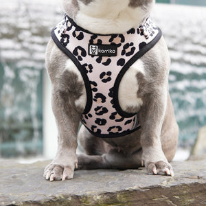 Adjustable Dog Harness - Leopard (SECONDS - FINAL SALE)