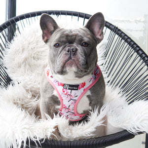 Adjustable Dog Harness - Rosa (SECONDS - FINAL SALE)