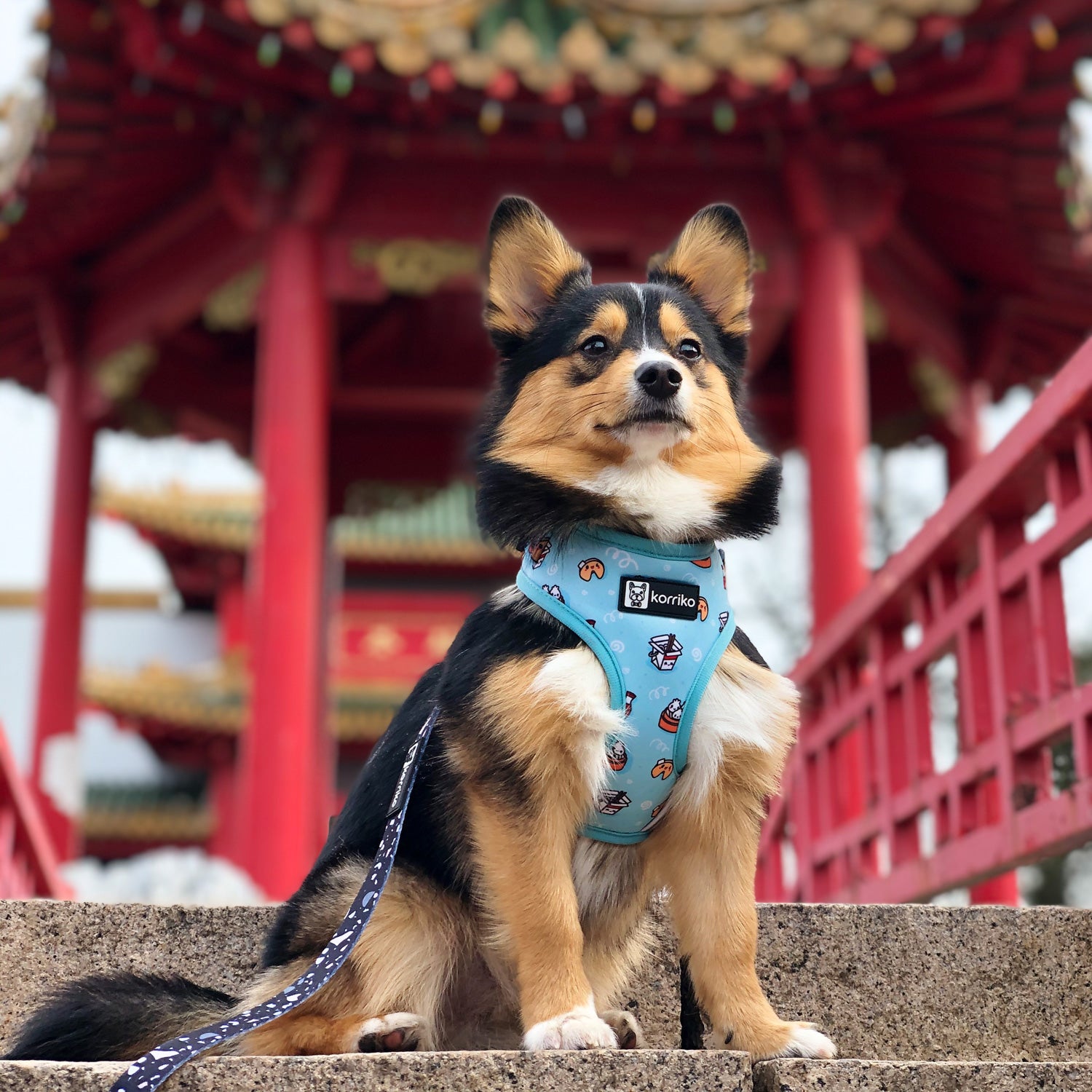 Adjustable Dog Harness - Adorabao