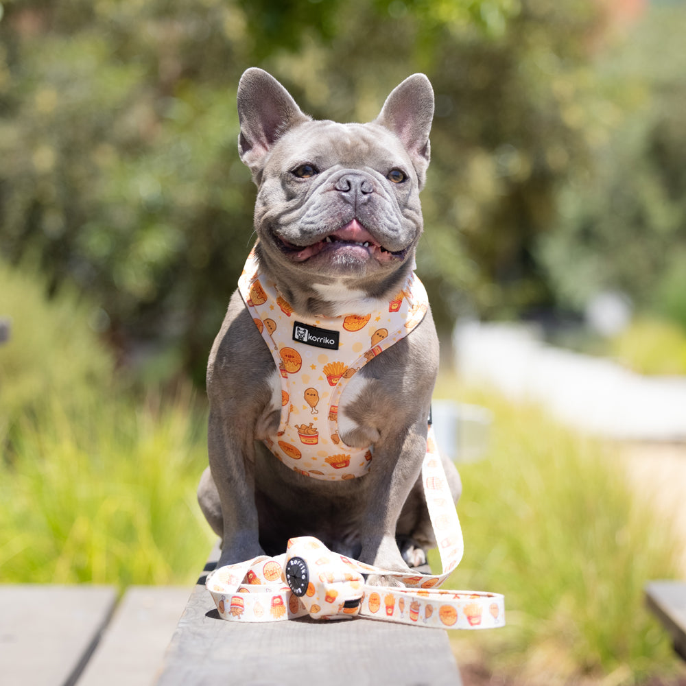 Adjustable Dog Harness - Chicken & Waffles (Final Sale)