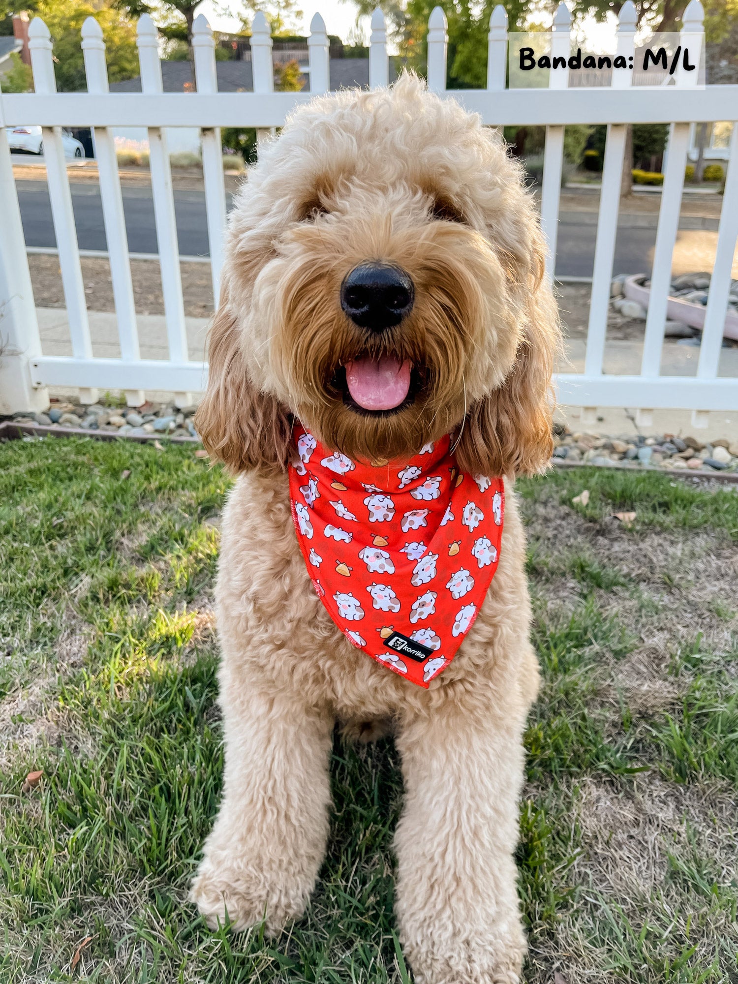 Cooling Dog Bandana - Moo Moo