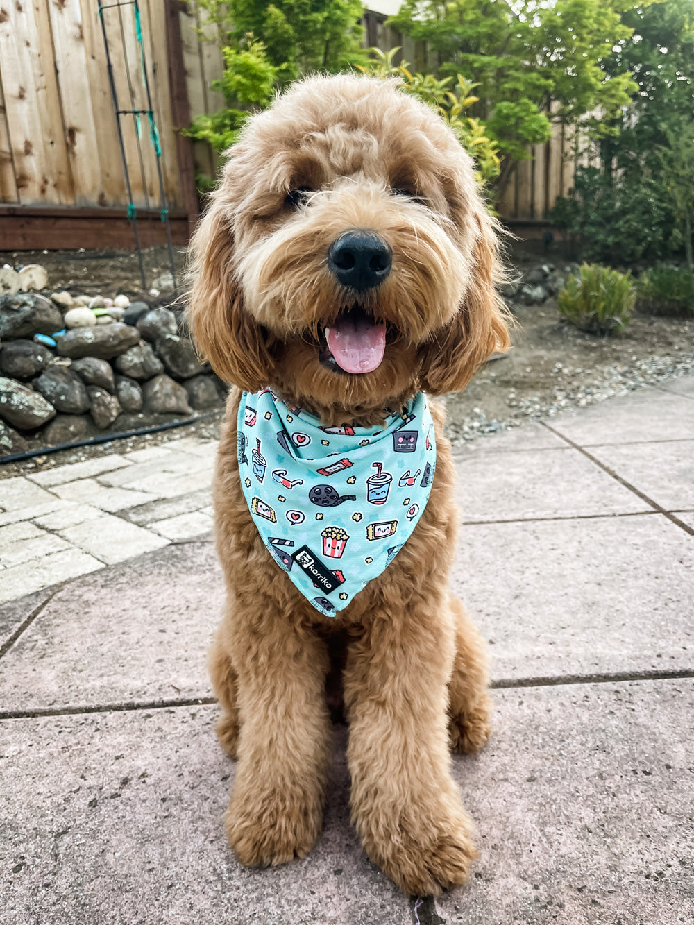 Cooling Dog Bandana Pupflix Final Sale