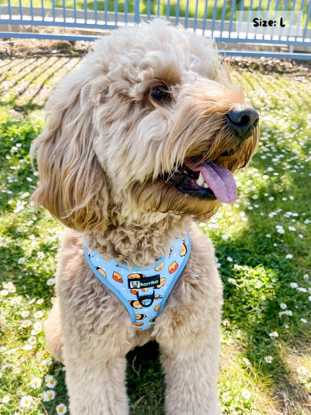 Bee Step In Dog Harness And Leash Set