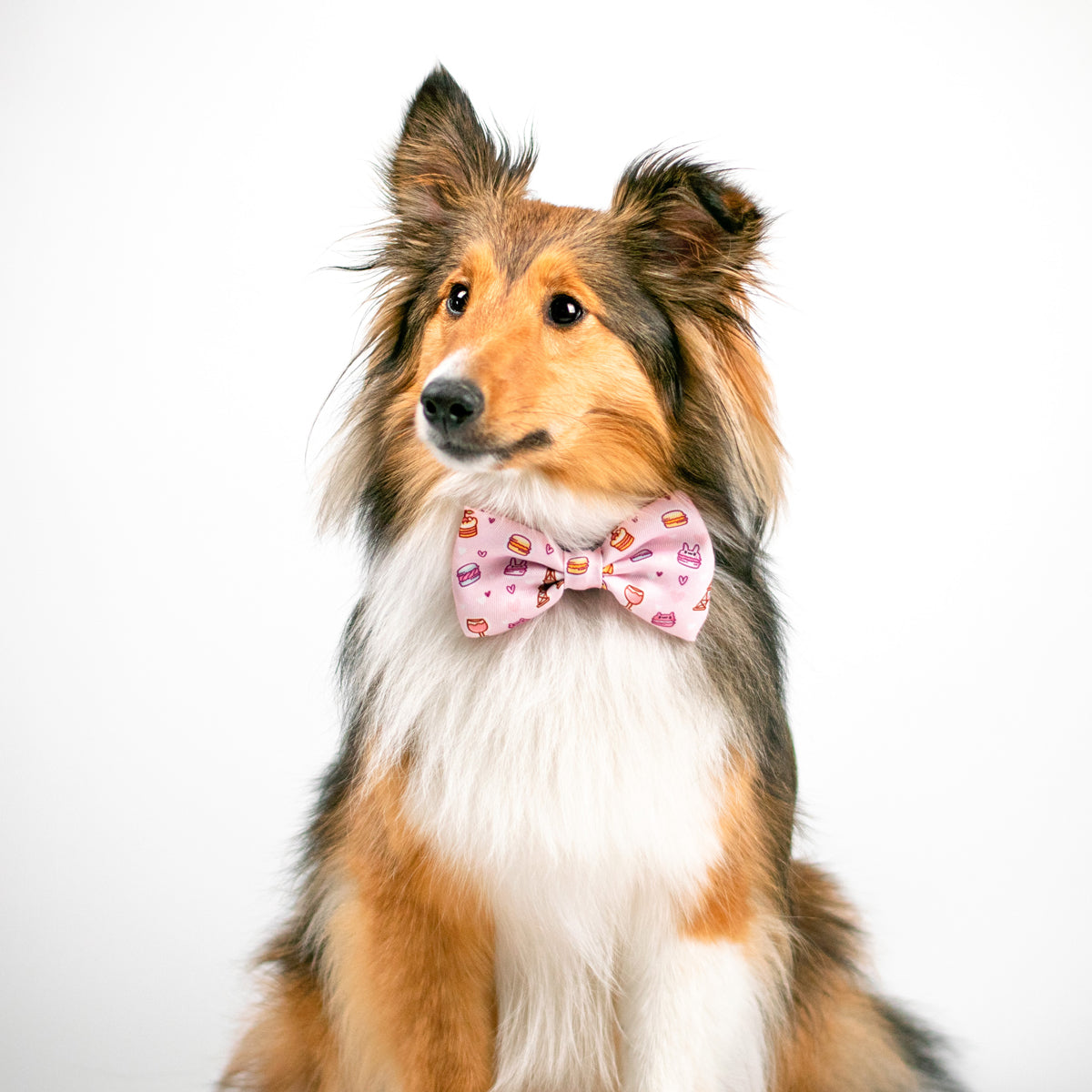 Dog Bow Tie - Patisserie (Final Sale)