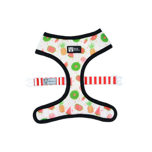 Reversible Dog Harness - Cheat Day (BPC - SECONDS - FINAL SALE)