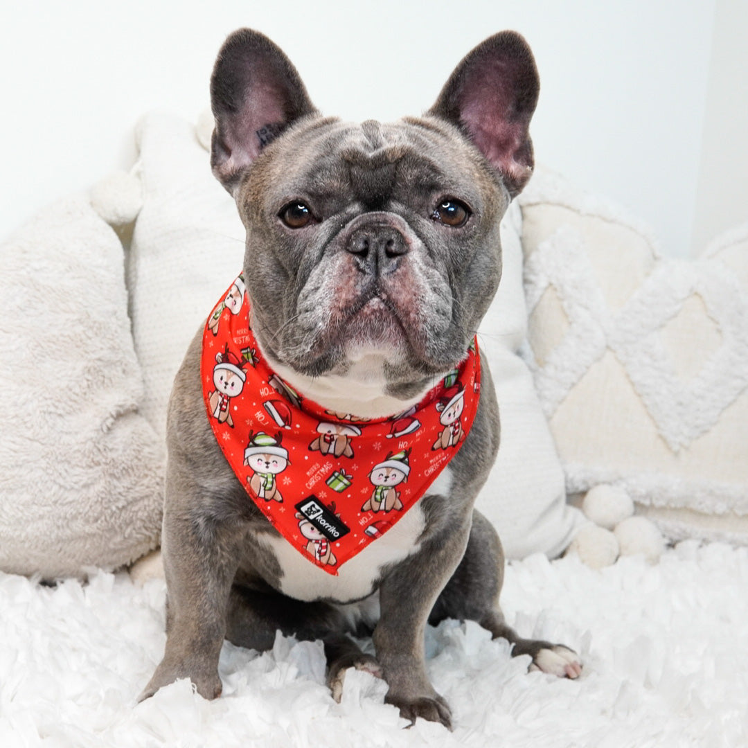 Cooling Dog Bandana - Christmas Reindeer (Final Sale)