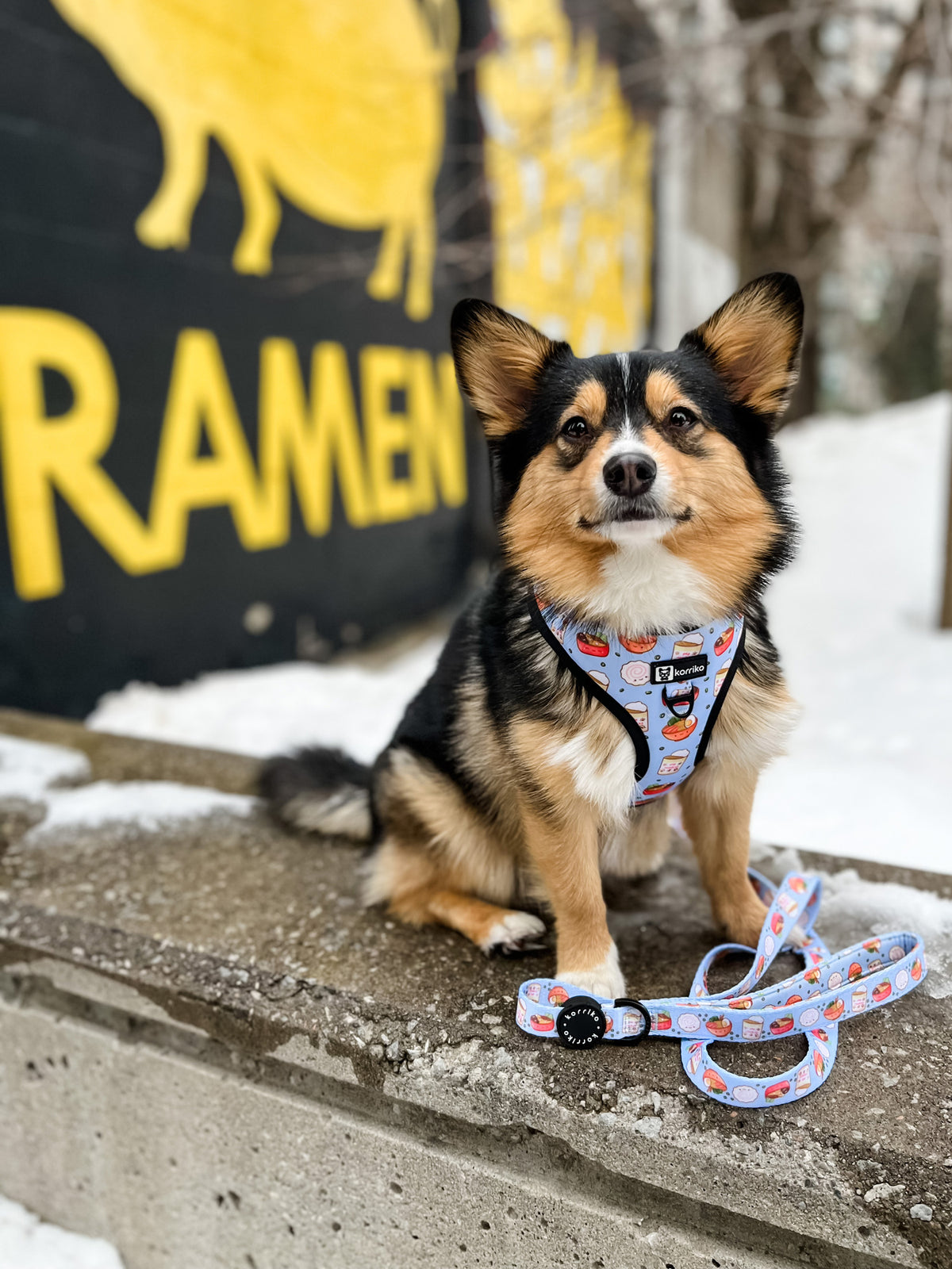 Dog harness outlet for corgi