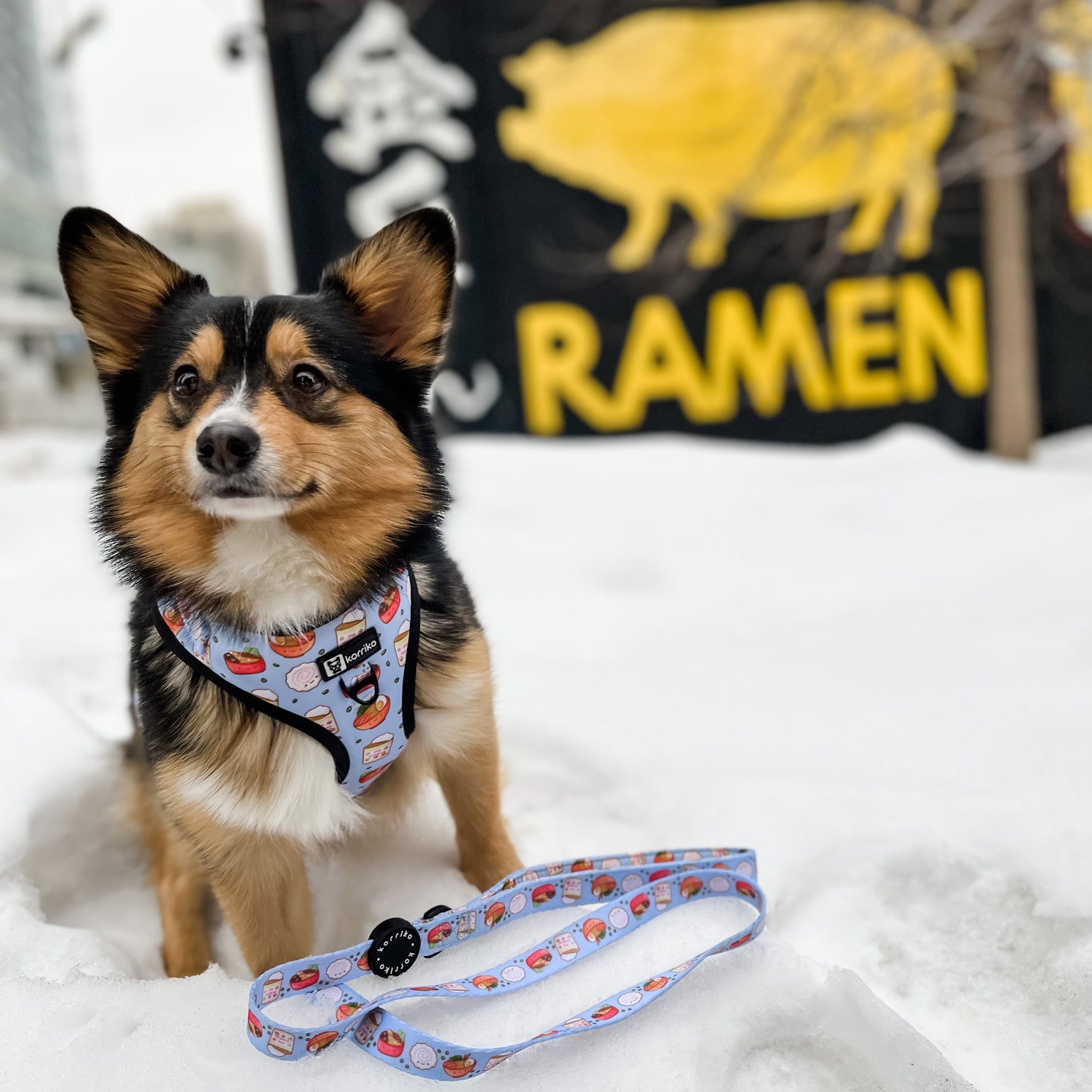 Dog Leash Ramen Korriko Pet Supply