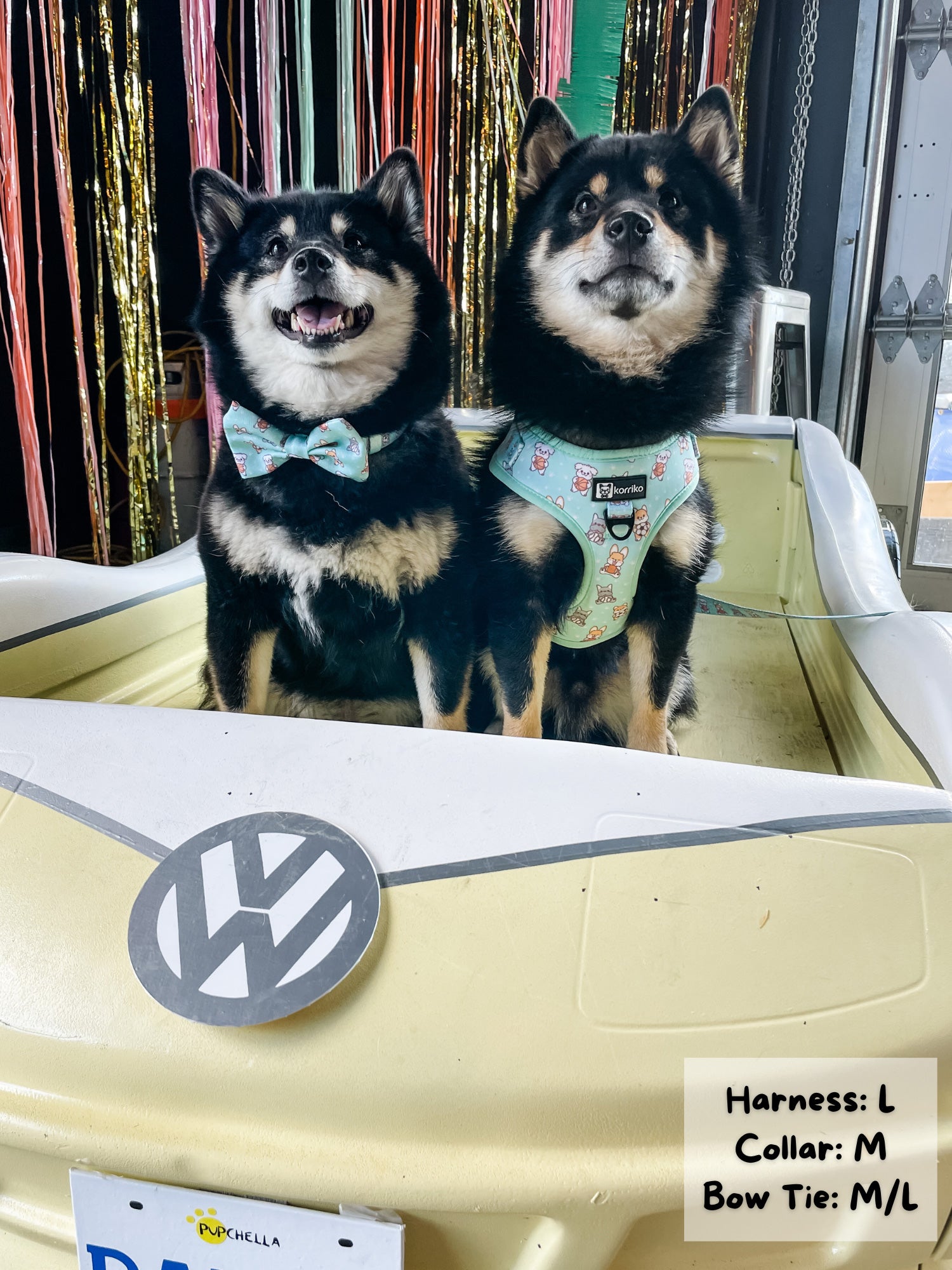 Adjustable Dog Harness - Dream Team