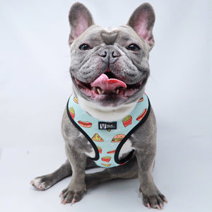 Reversible Dog Harness - Cheat Day (BPC - SECONDS - FINAL SALE)