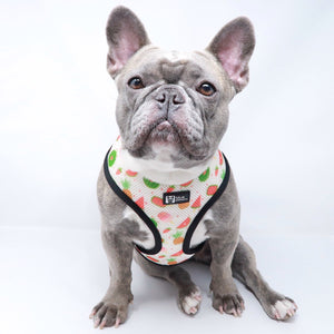 Reversible Dog Harness - Cheat Day (BPC - SECONDS - FINAL SALE)