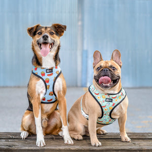 Reversible Dog Harness - Cheat Day (BPC - SECONDS - FINAL SALE)