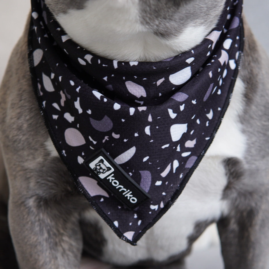 Red Sox Collars – Bone Appetit Eco-Friendly Dog Store