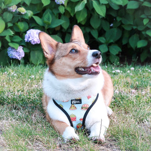 Reversible Dog Harness - Cheat Day (BPC - SECONDS - FINAL SALE)