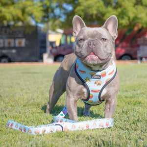 Reversible Dog Harness - Cheat Day (BPC - SECONDS - FINAL SALE)