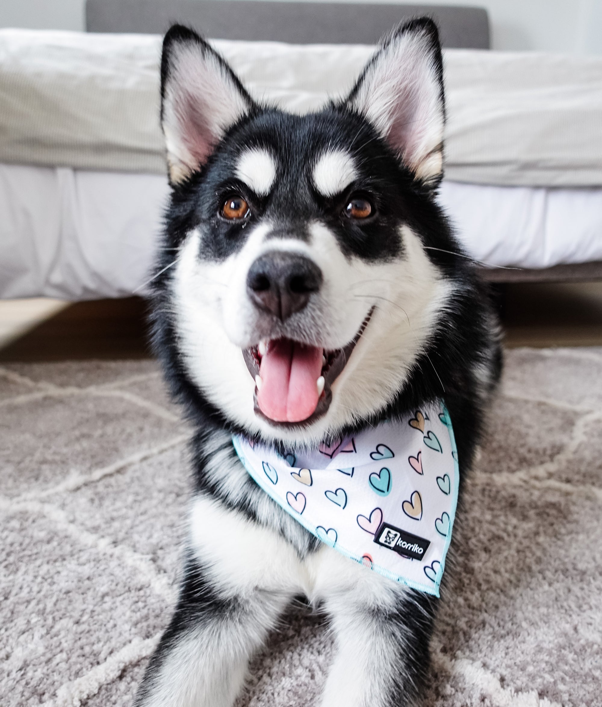 Cooling Dog Bandana - Feel The Love