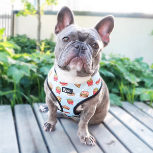 Reversible Dog Harness - Cheat Day (BPC - SECONDS - FINAL SALE)