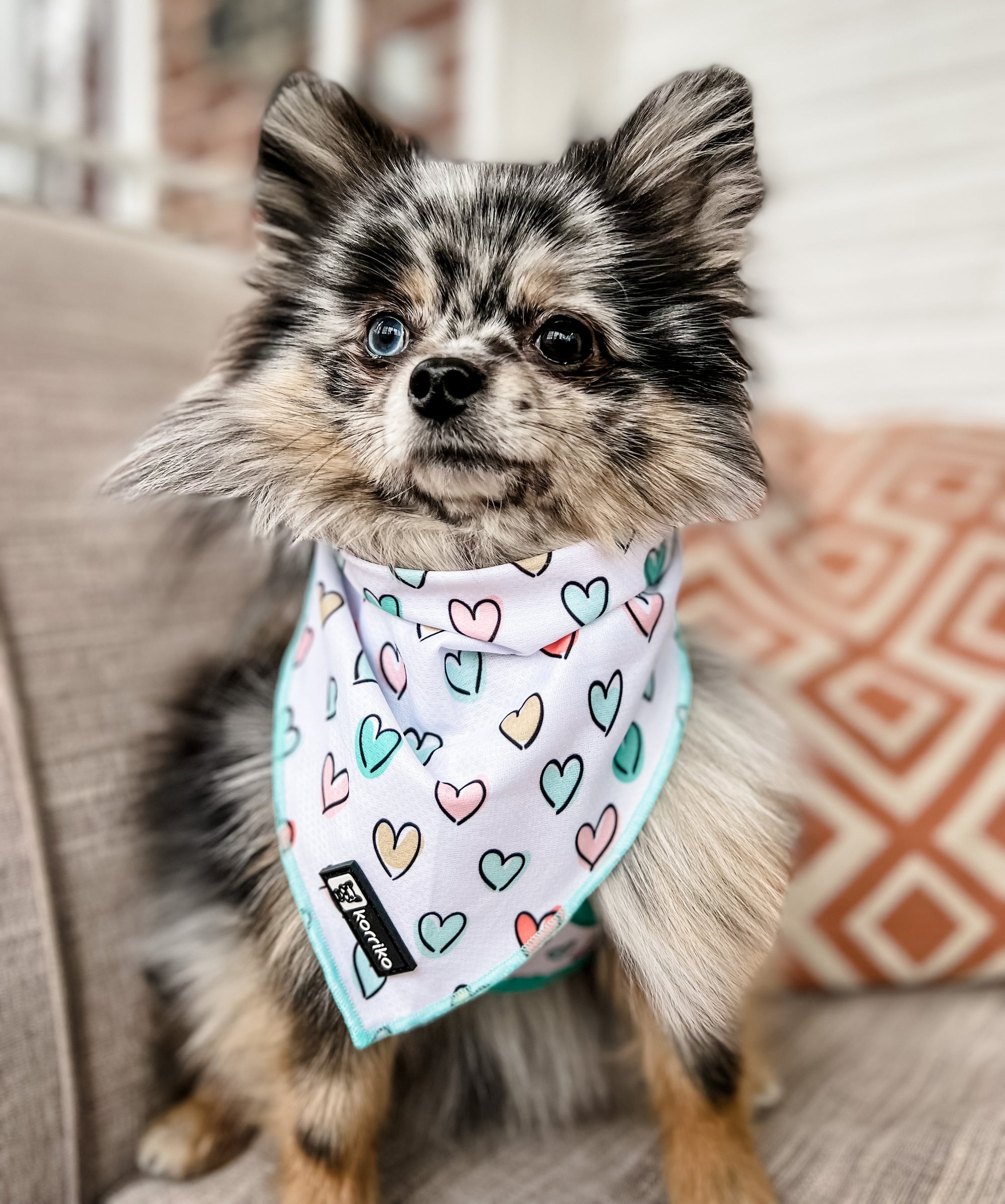 Cooling Dog Bandana - Feel The Love