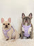 Exploration Lite No-Pull Dog Harness - Lilac