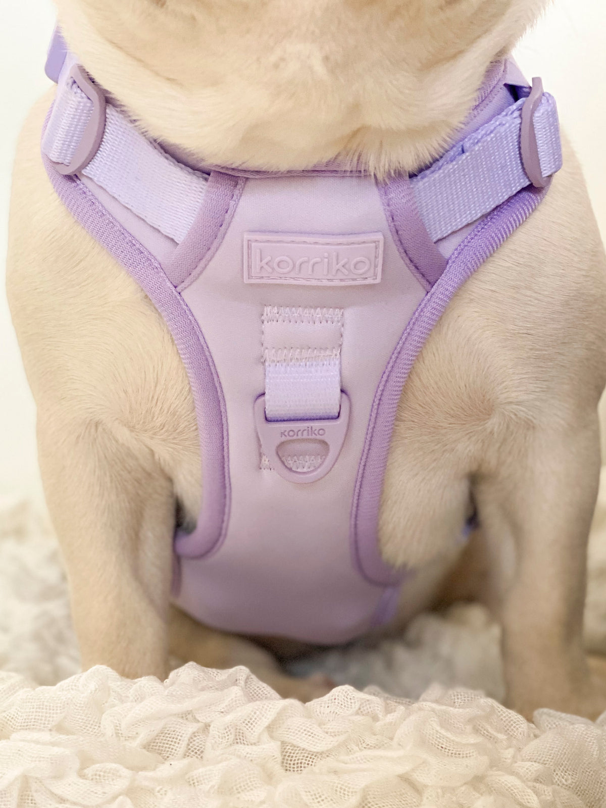 Exploration Lite No Pull Dog Harness Lilac Korriko Pet Supply