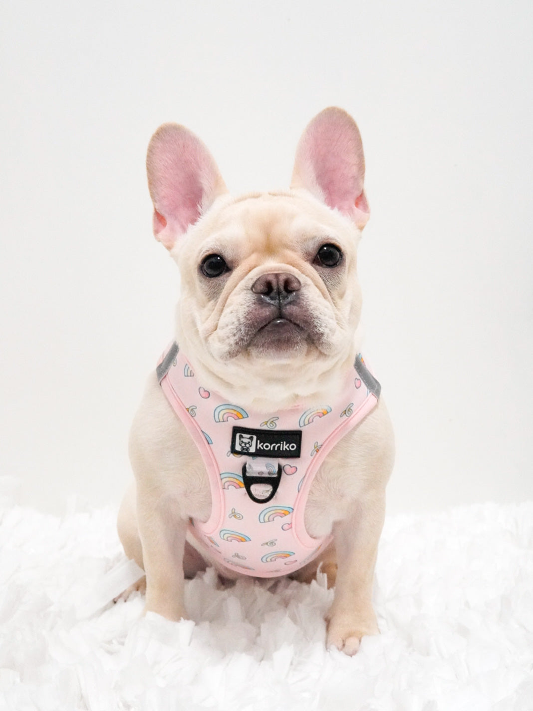 Kawaii best sale dog harness