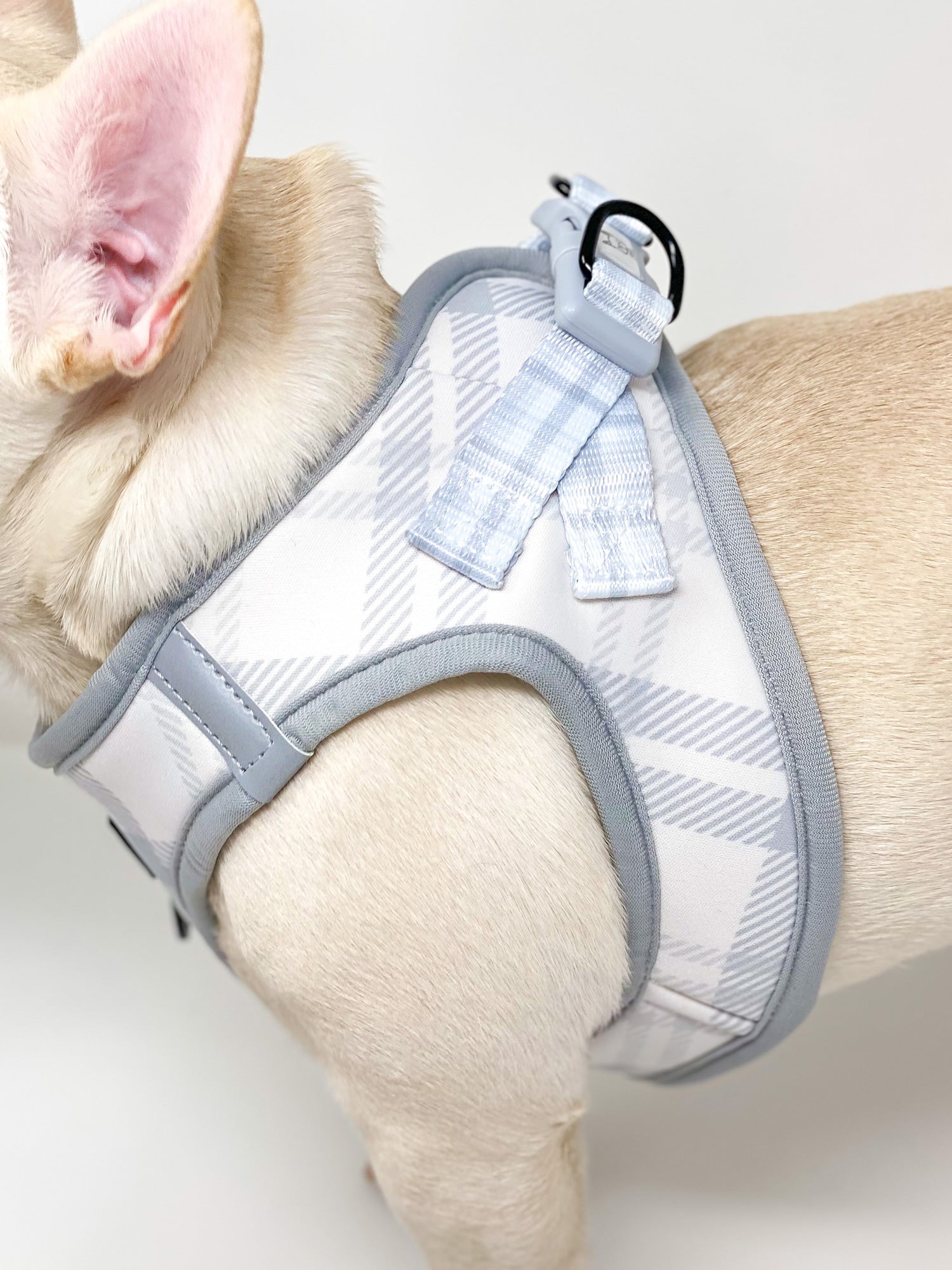 Pet city dog harness hotsell