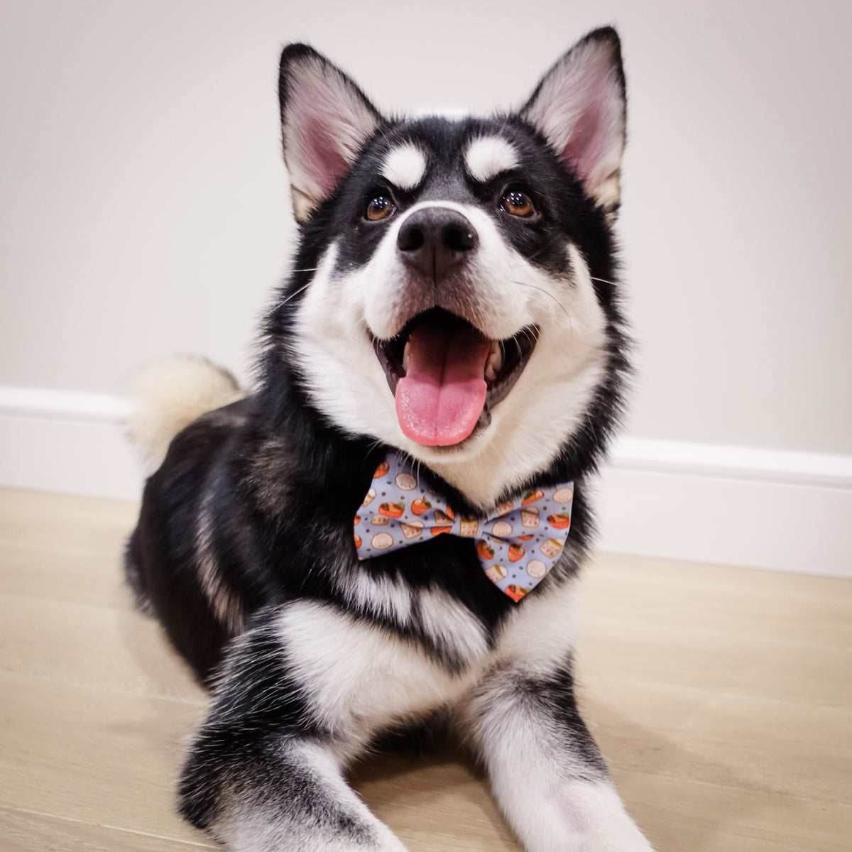 Husky bow outlet tie