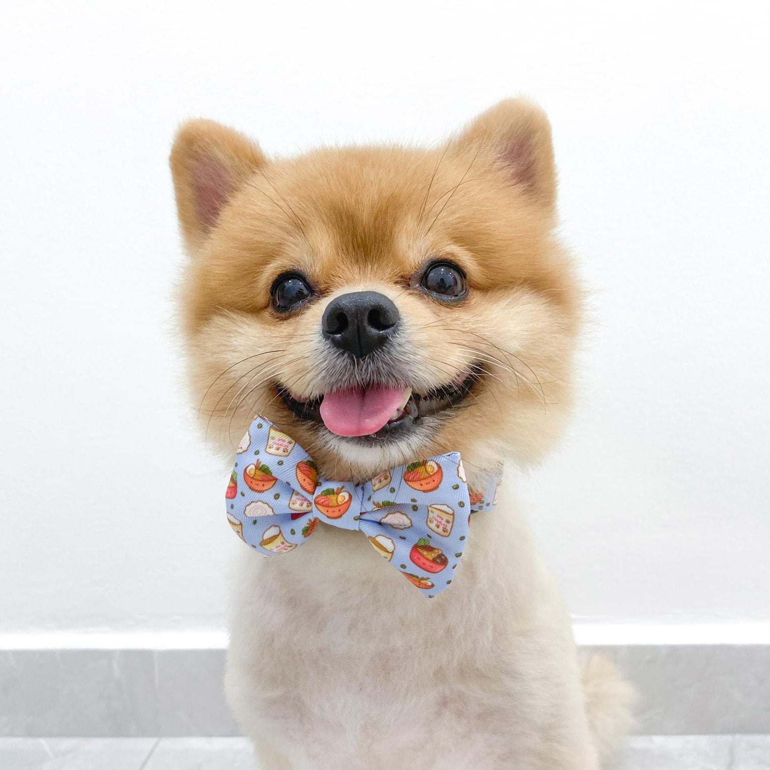 Pomeranian tie best sale