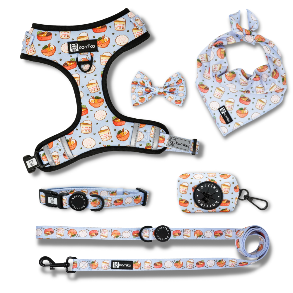 Harness Bundle Set - Ramen