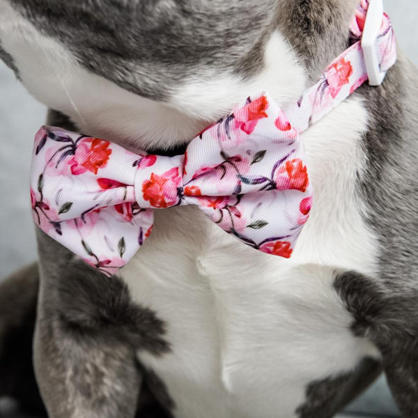 Dog Bow Tie Collars