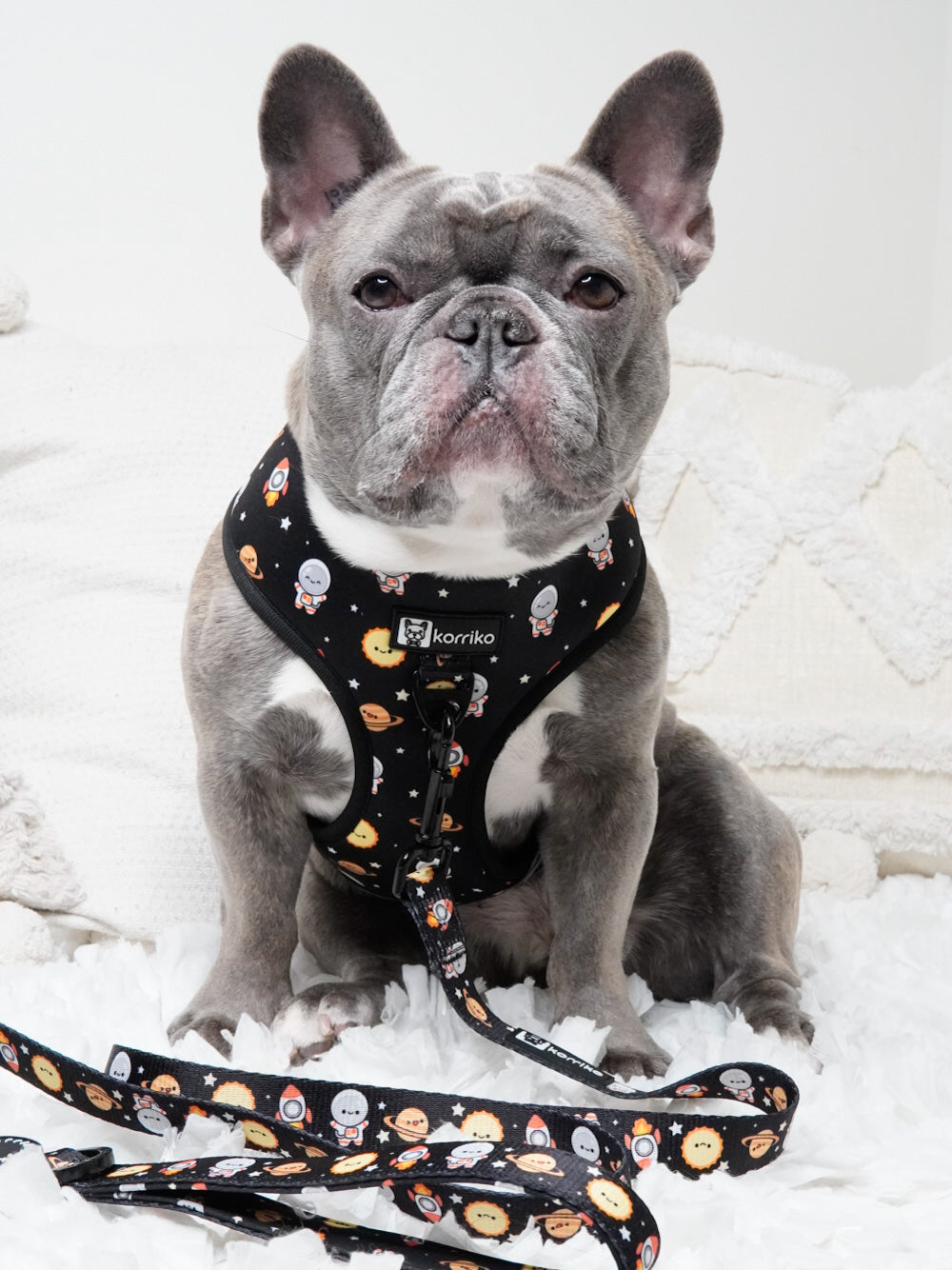 Korriko Pet Supply - Dog Harnesses, Collars, Leashes, Apparel + More