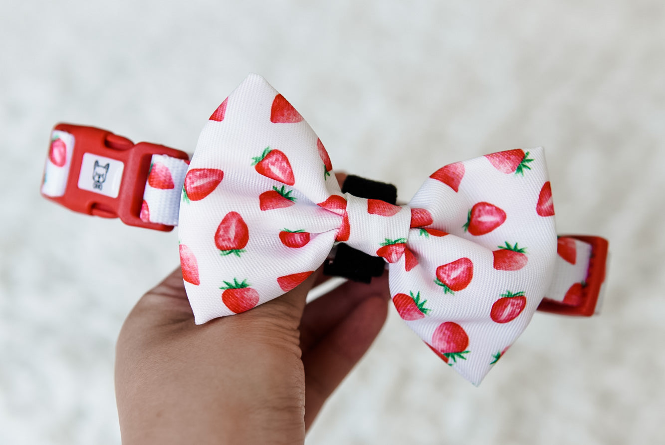 Dog Bow Tie - Strawberries & Cream (Final Sale)