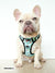 Exploration No-Pull Dog Harness - Sushi