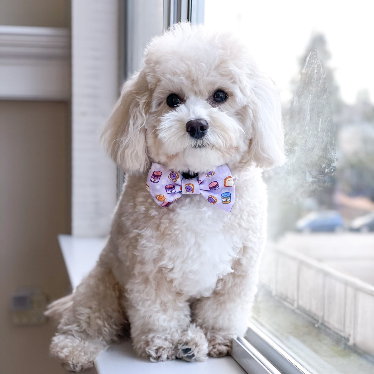 White bow deals tie for sale