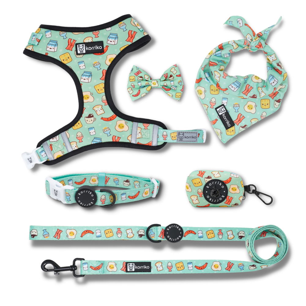 Harness Bundle Set - Thanks A Brunch (Final Sale)