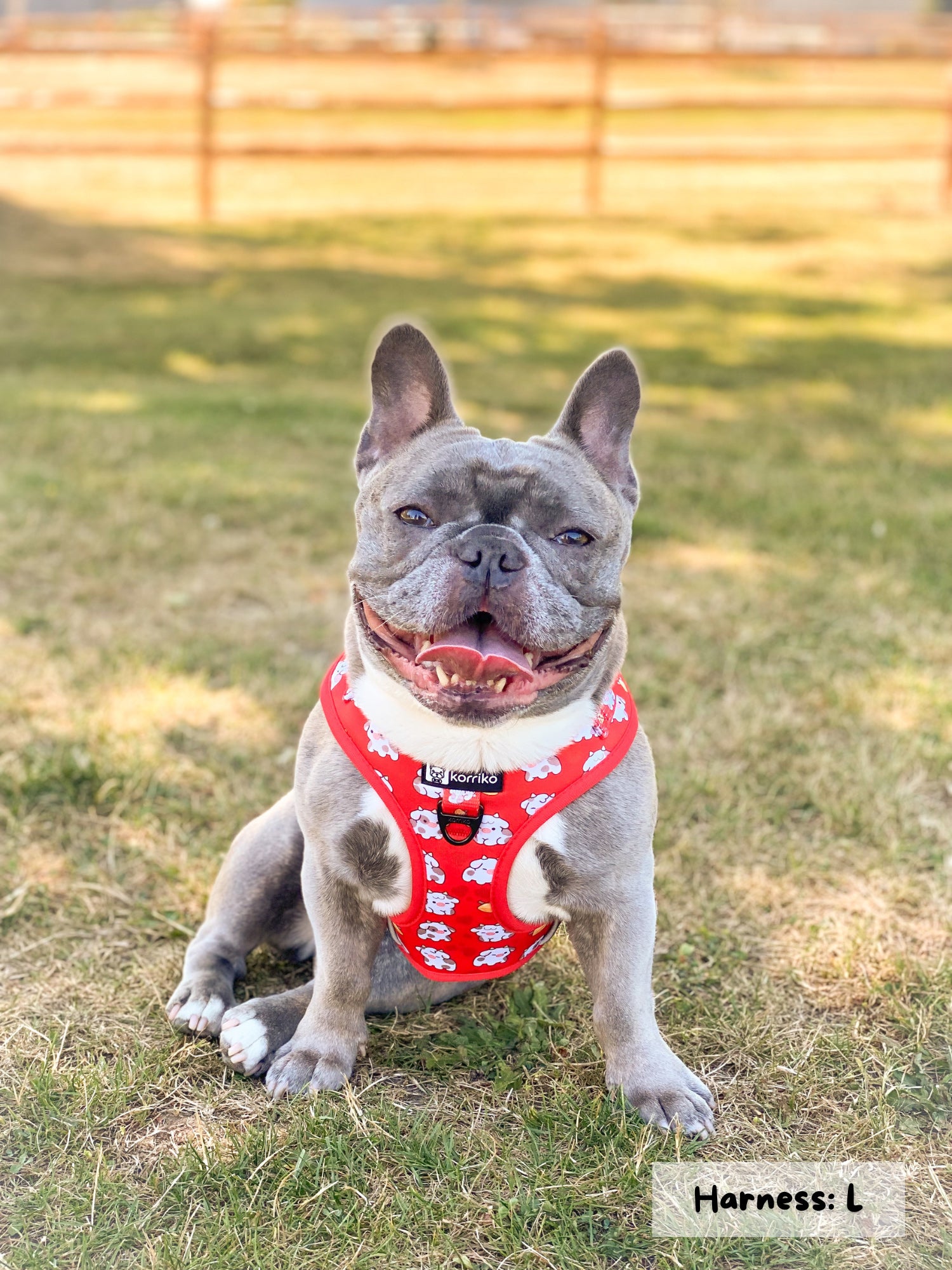 Adjustable Dog Harness - Moo Moo