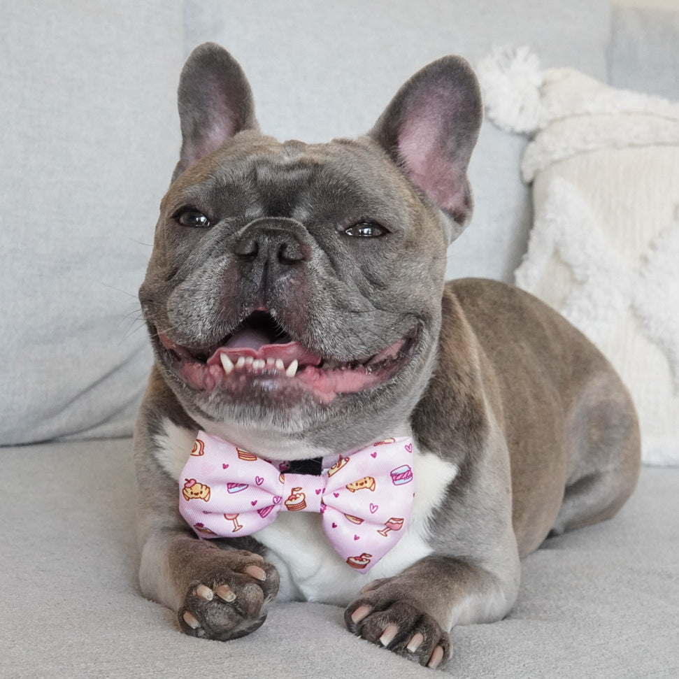 Dog Bow Tie - Patisserie (Final Sale)