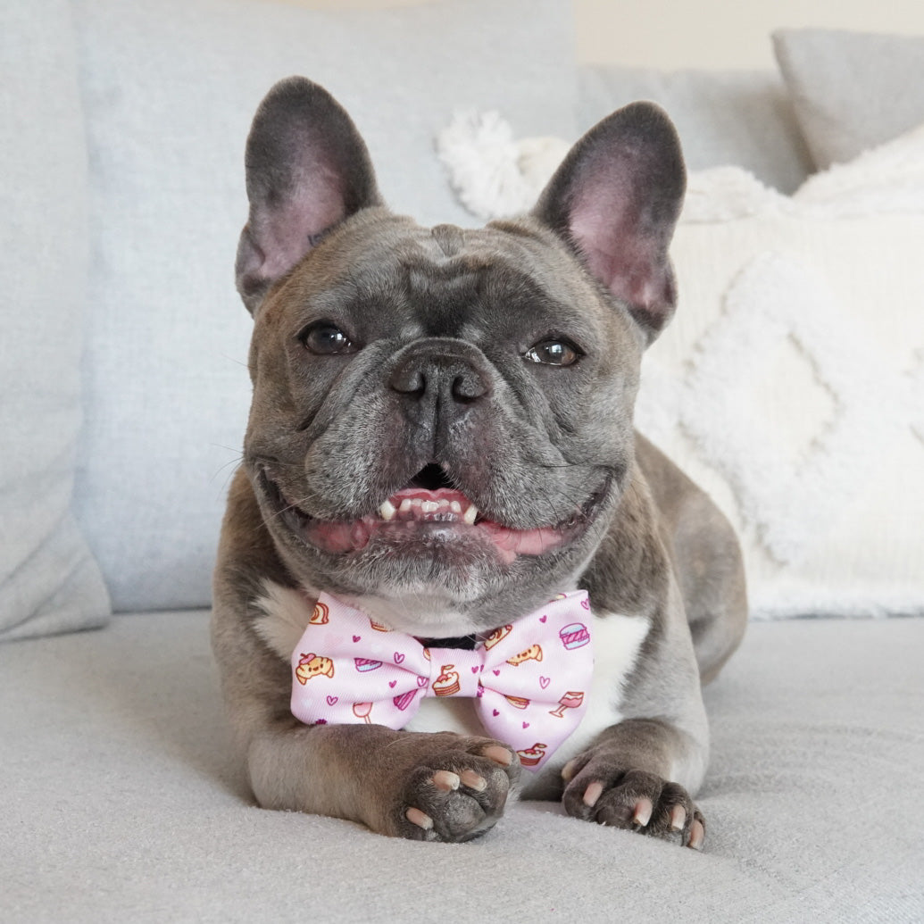 Dog Bow Tie - Patisserie (Final Sale)