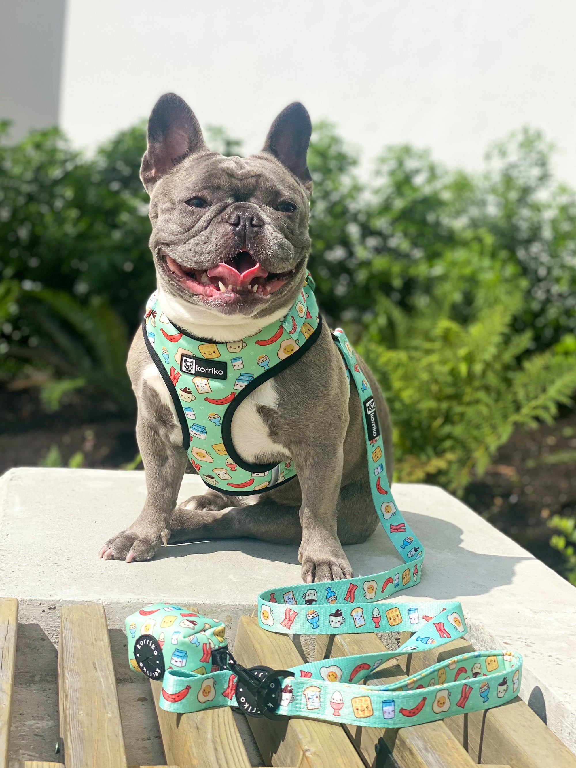 Adjustable Dog Harness - Thanks A Brunch (Final Sale)