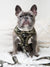 Classic No-Pull Dog Harness - Green Camo