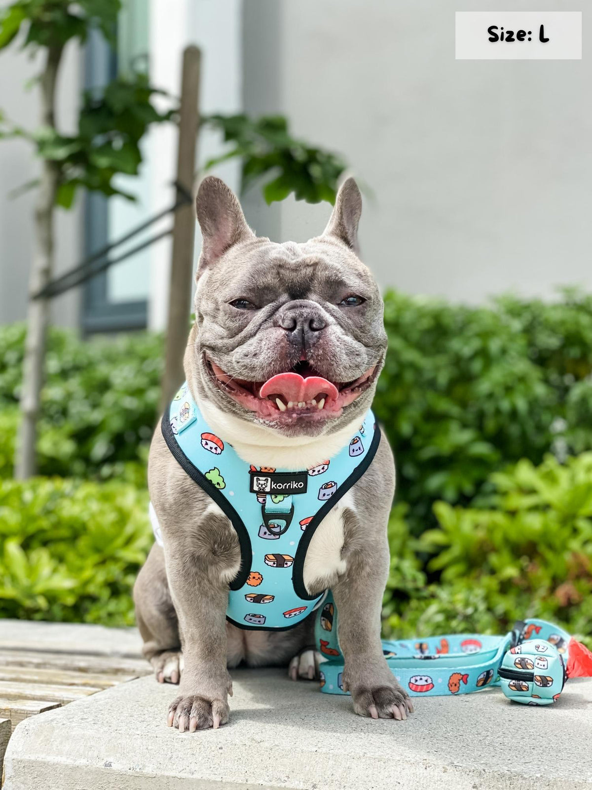 Adjustable Dog Harness - Sushi S