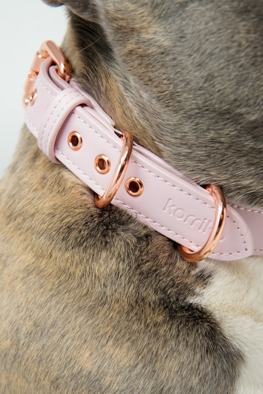 Signature Collar & Leash Set - Blush Pink (Final Sale)